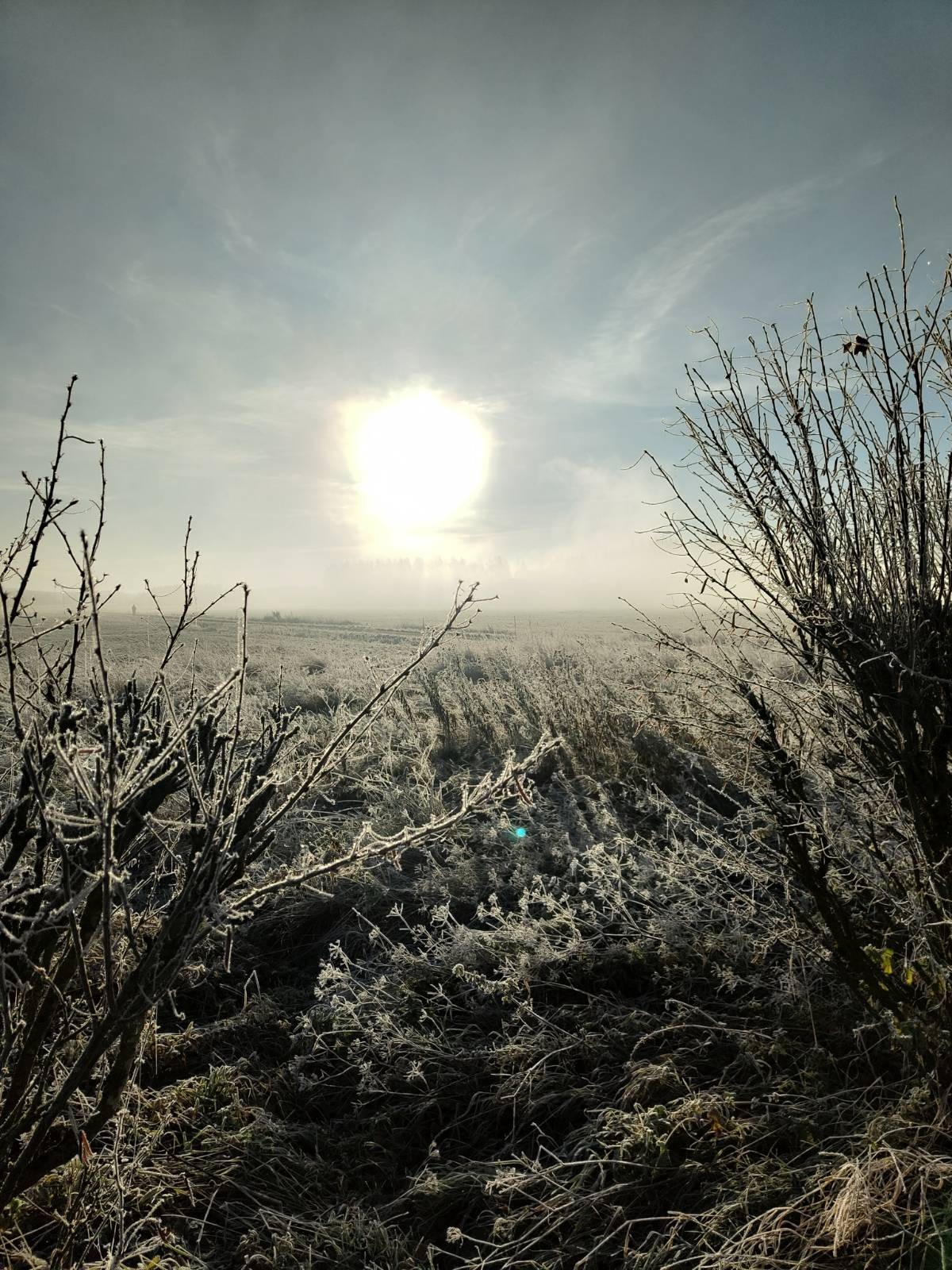 winter, sun